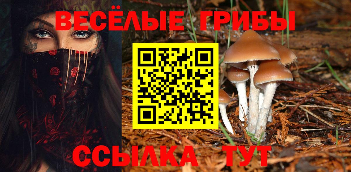 Псилоцибиновые грибы прущие грибы  Псилоцибиновые грибы мицелий  Вход с VPN  Карталы 